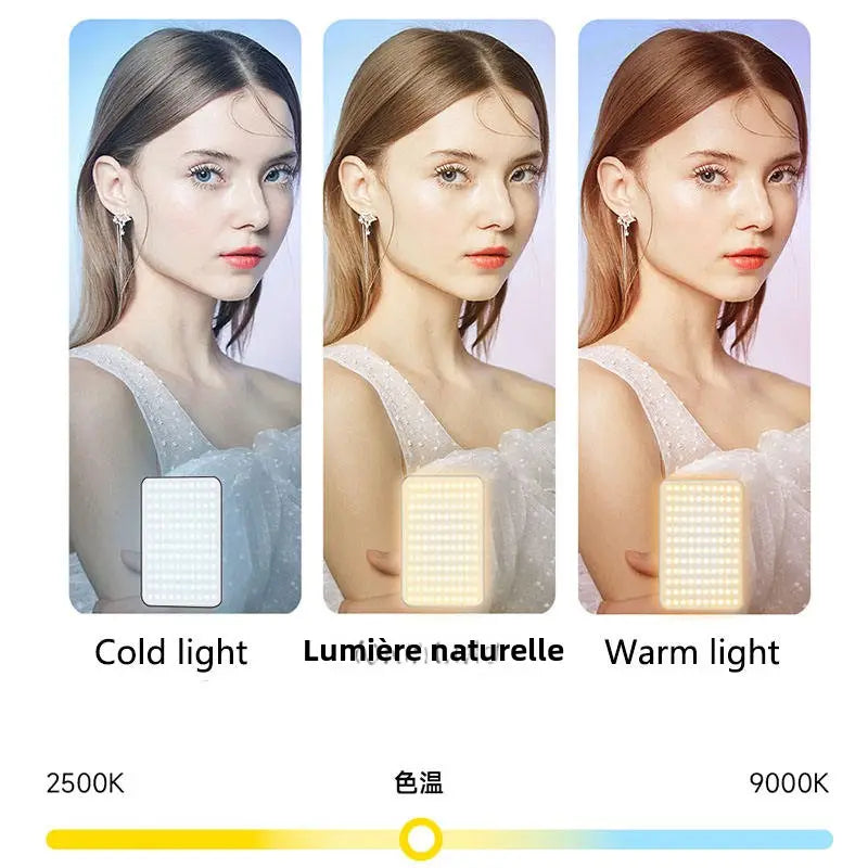 VIDEO LIGHT D10